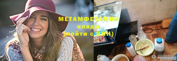индика Богородицк