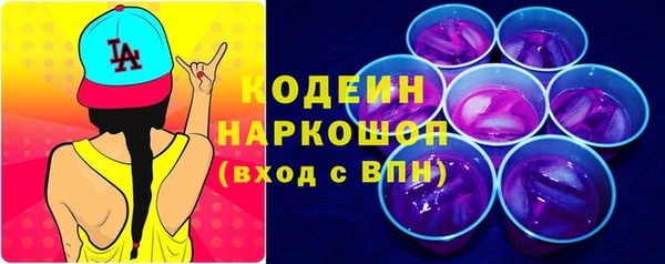 индика Богородицк