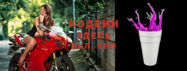 ECSTASY Богданович