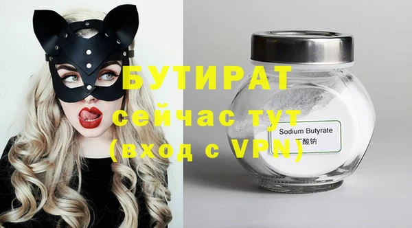 индика Богородицк