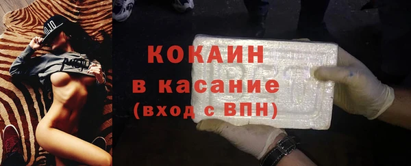 индика Богородицк
