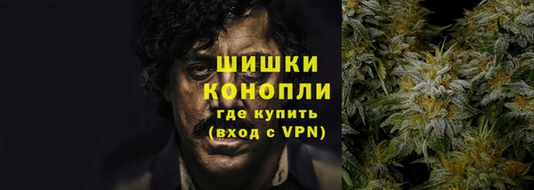 ECSTASY Богданович