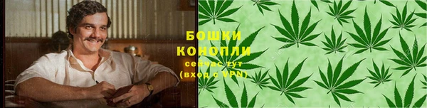 ECSTASY Богданович