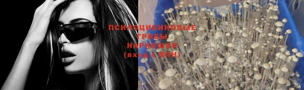 индика Богородицк
