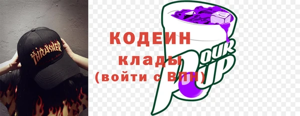 индика Богородицк