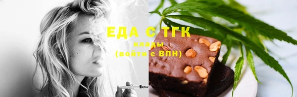 индика Богородицк