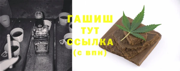индика Богородицк