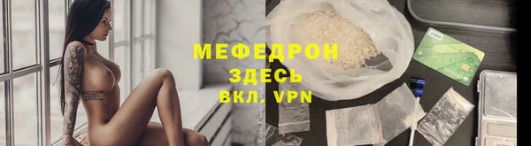 индика Богородицк