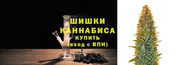 индика Богородицк