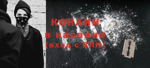 ECSTASY Богданович