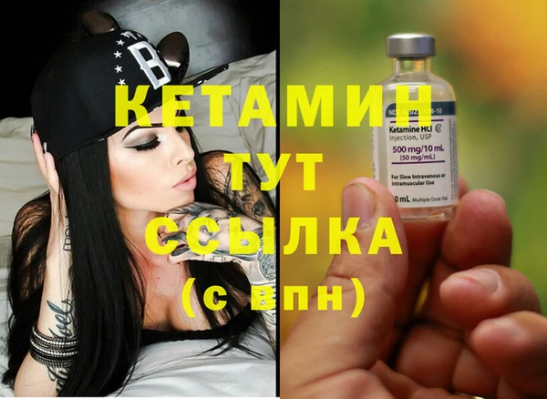 индика Богородицк