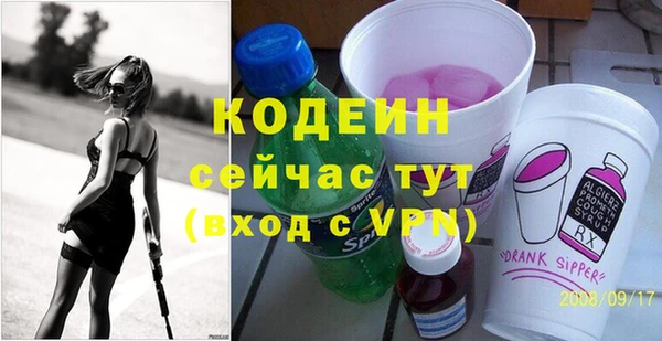 ECSTASY Богданович