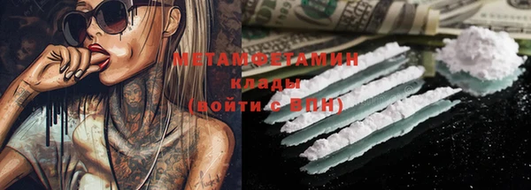 индика Богородицк