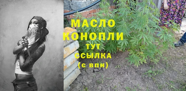 индика Богородицк